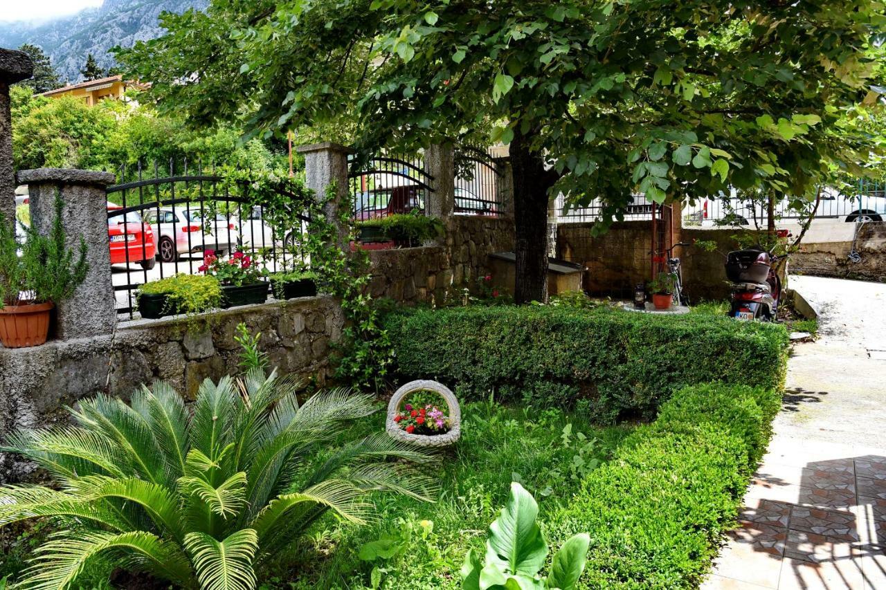 Apartments Martiva Котор Екстер'єр фото